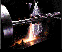 Bitmap Image